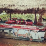 roaches in cambodia