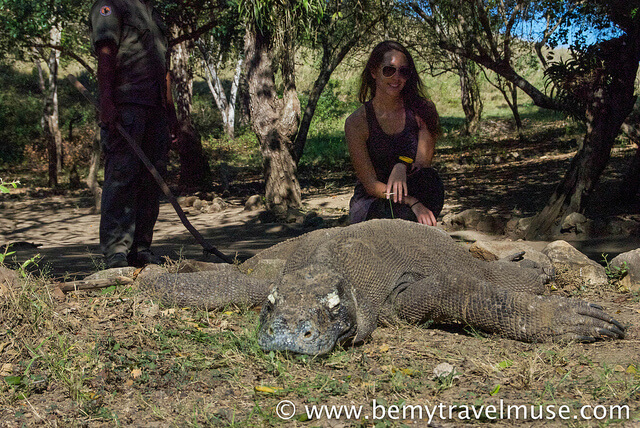 Kristin Addis with a Komodo Dragon