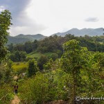 Pai land split