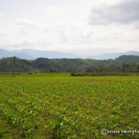 phong nha ke bang