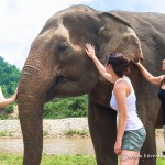 elephant nature park