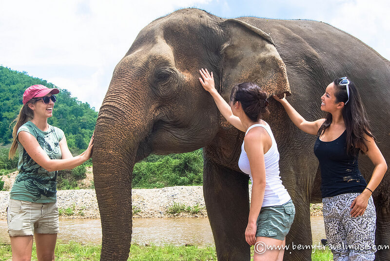 elephant nature park