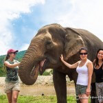 elephant nature park chiang mai