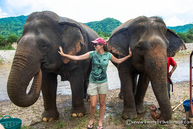 elephant nature park