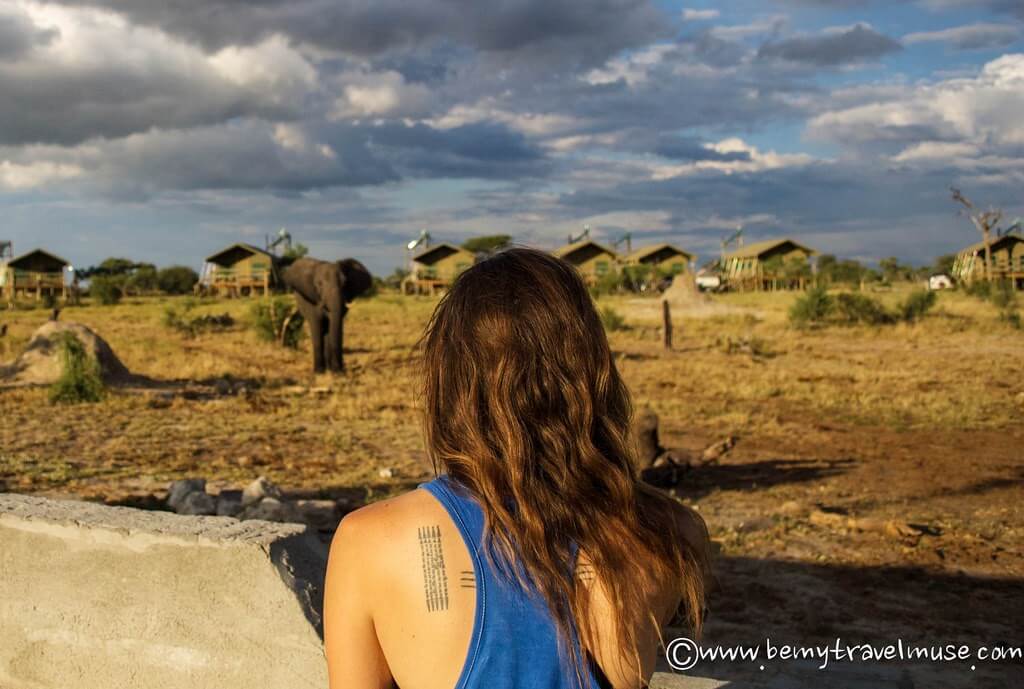 elephant camp botswana