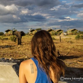 elephant camp botswana