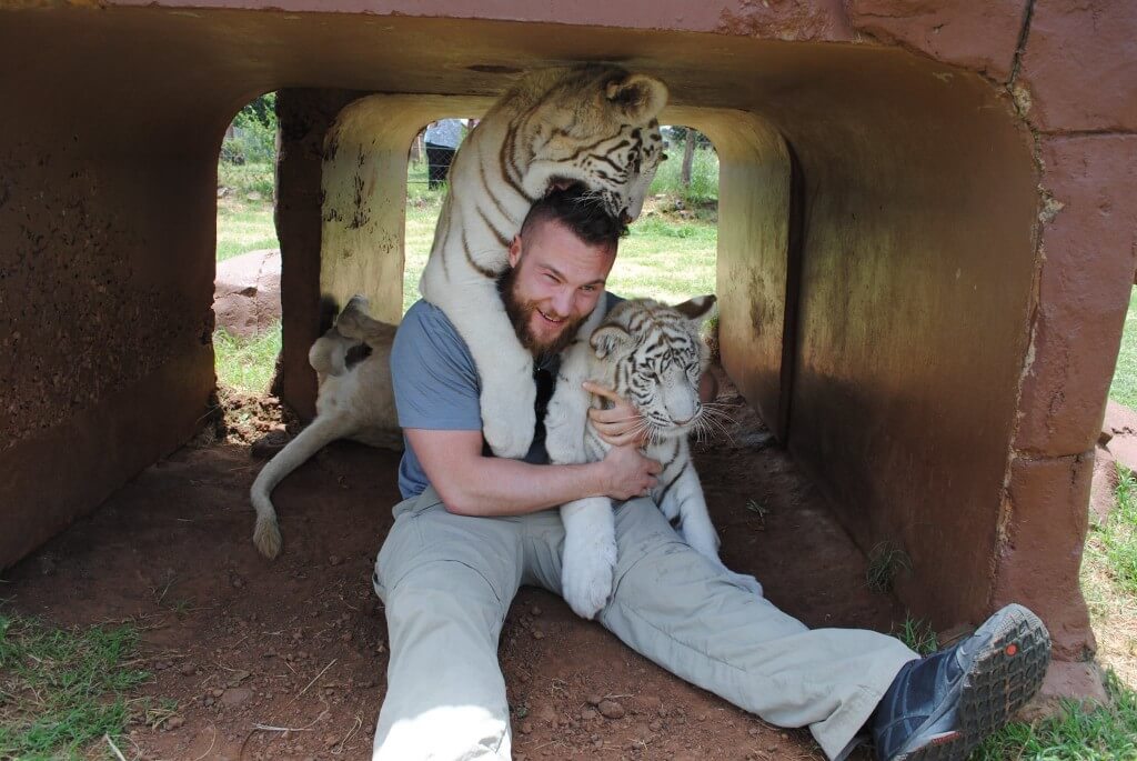 Callum, and tigers