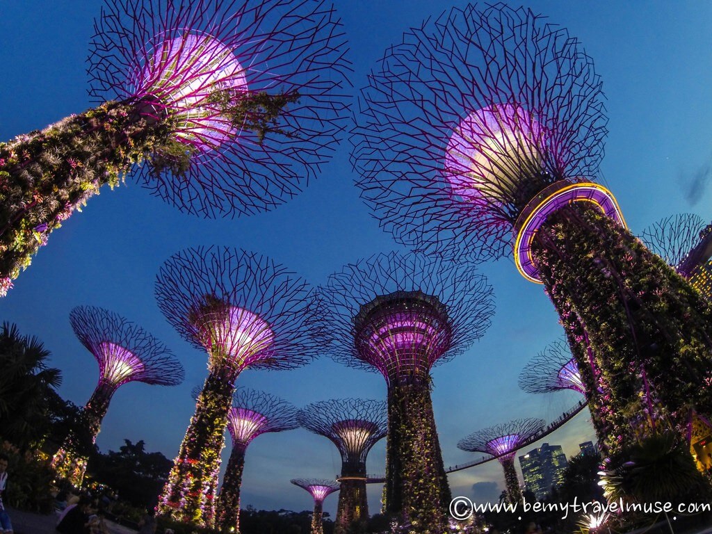 singapore super trees