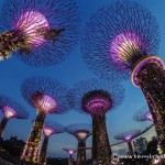 singapore super trees