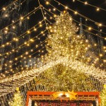 best german christmas markets