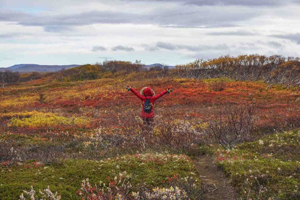 autumn in iceland