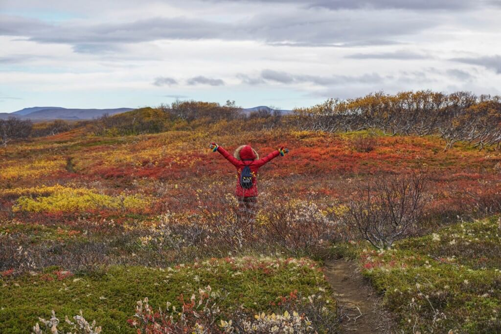 tips for first time hikers