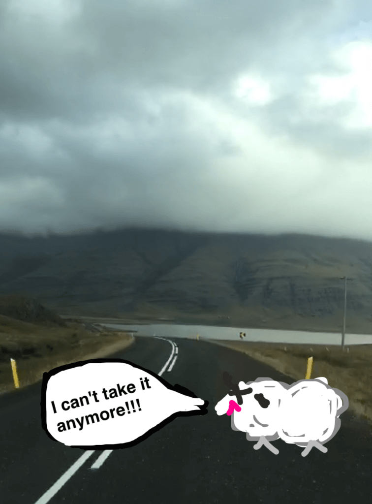 iceland ring road tips