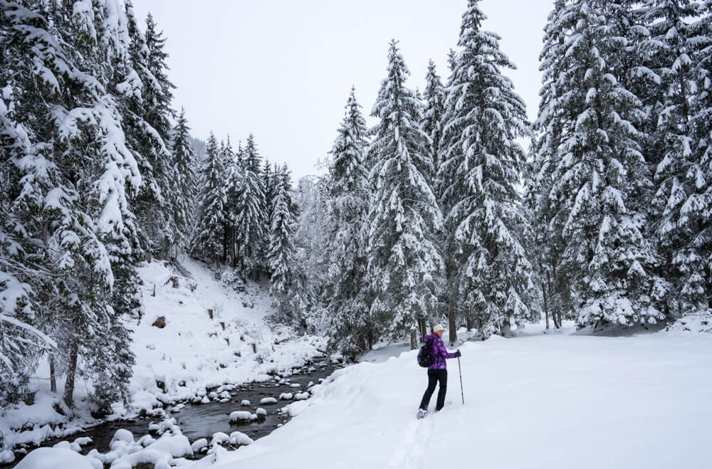 snow shoeing saalbach