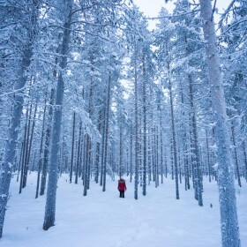 akaslompolo finland