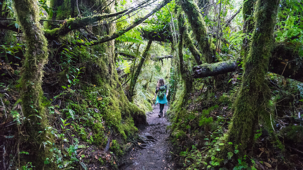 queulat national park