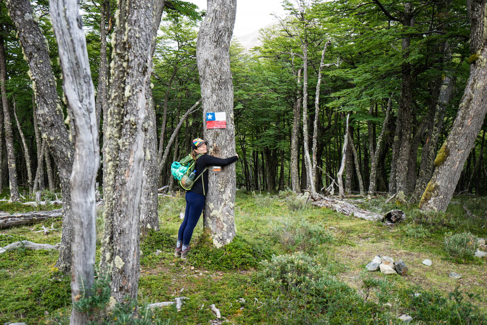 How to Walk from Villa O'Higgins to El Chaltén