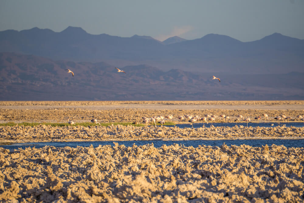 camping san pedro de atacama