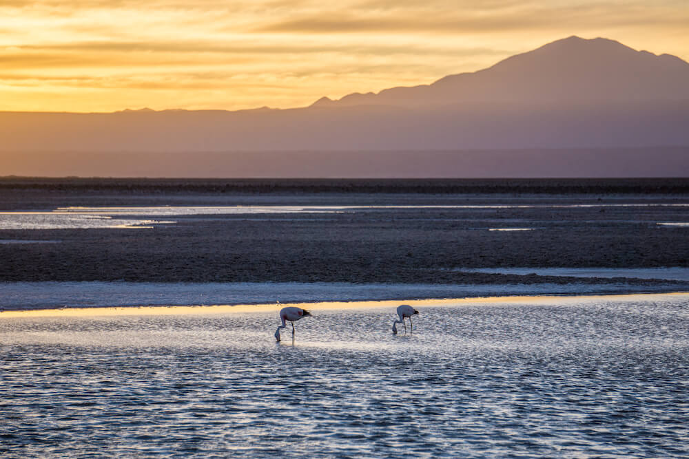 atacama desert