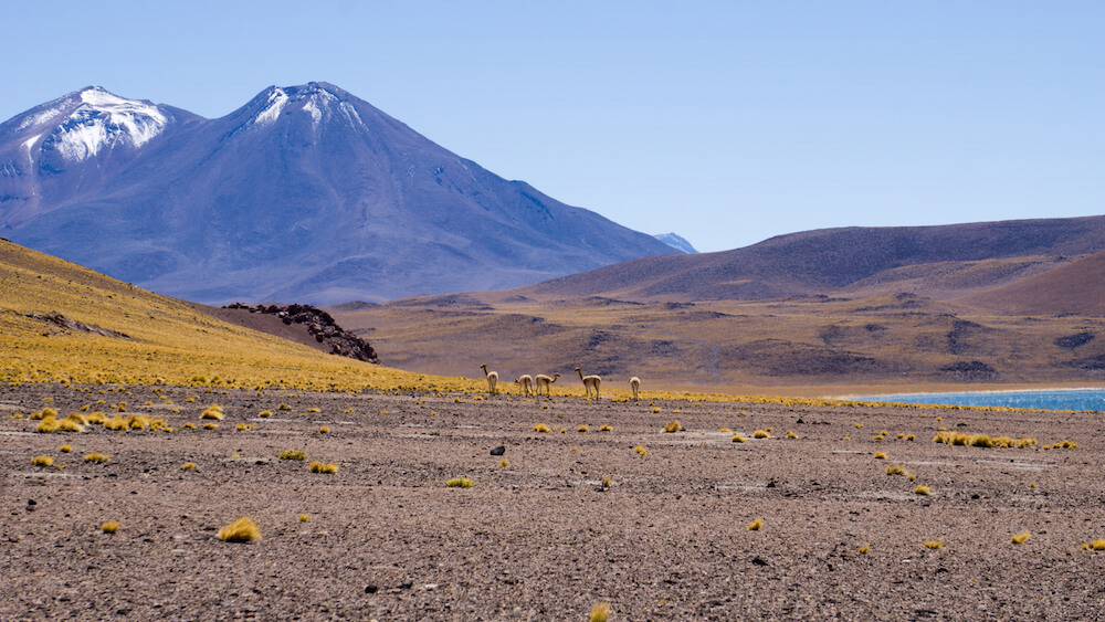 camping san pedro de atacama