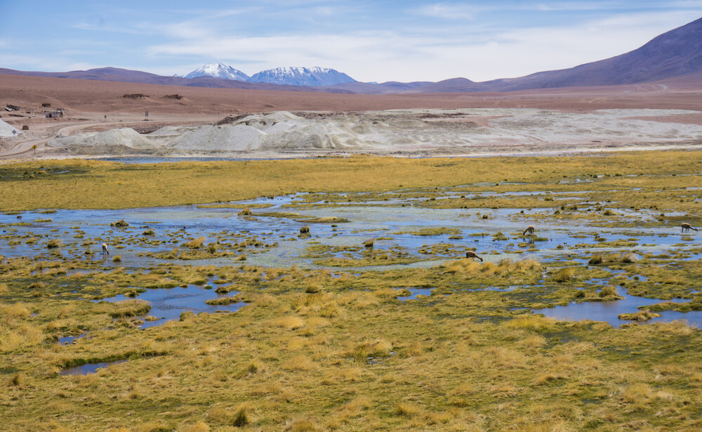 camping san pedro de atacama