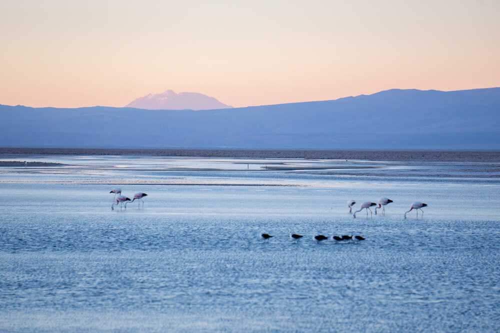 camping san pedro de atacama