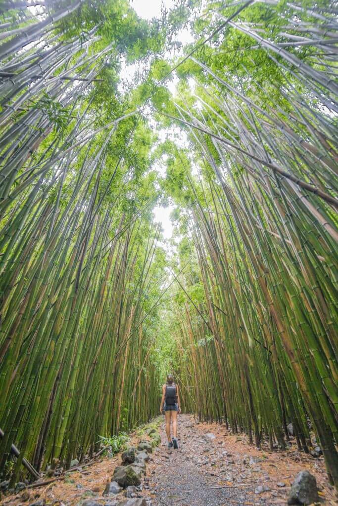 road to hana