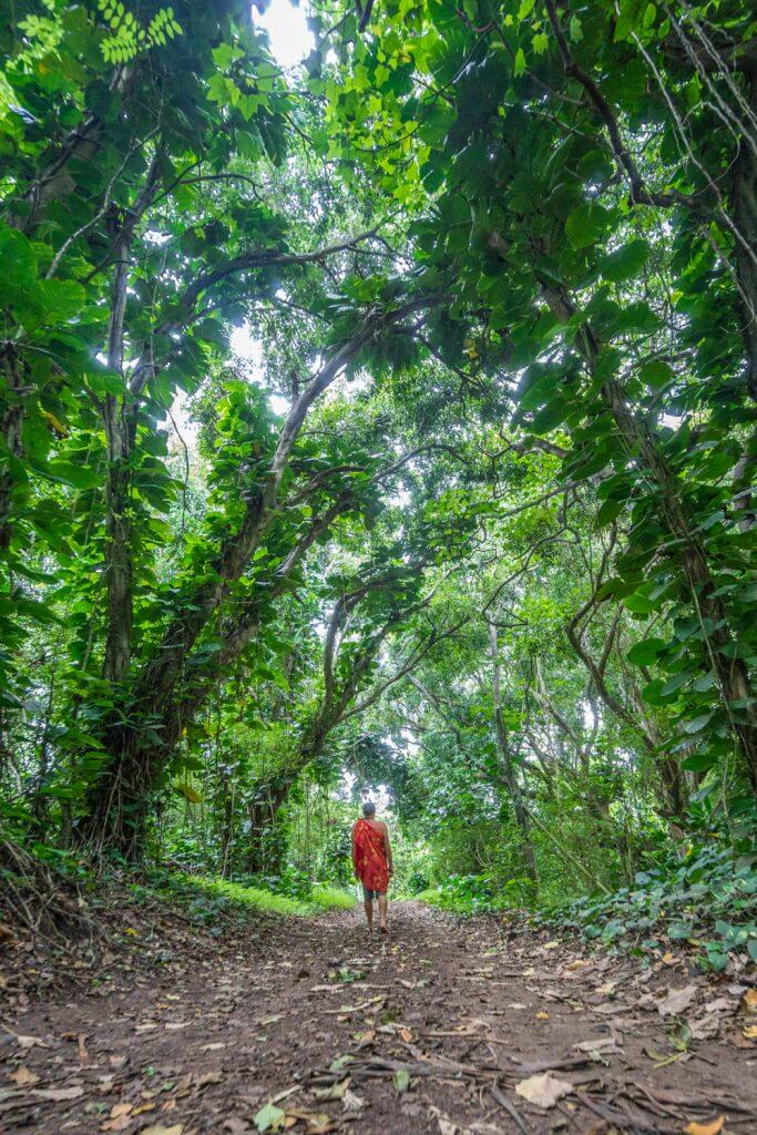 off the beaten path hawaii