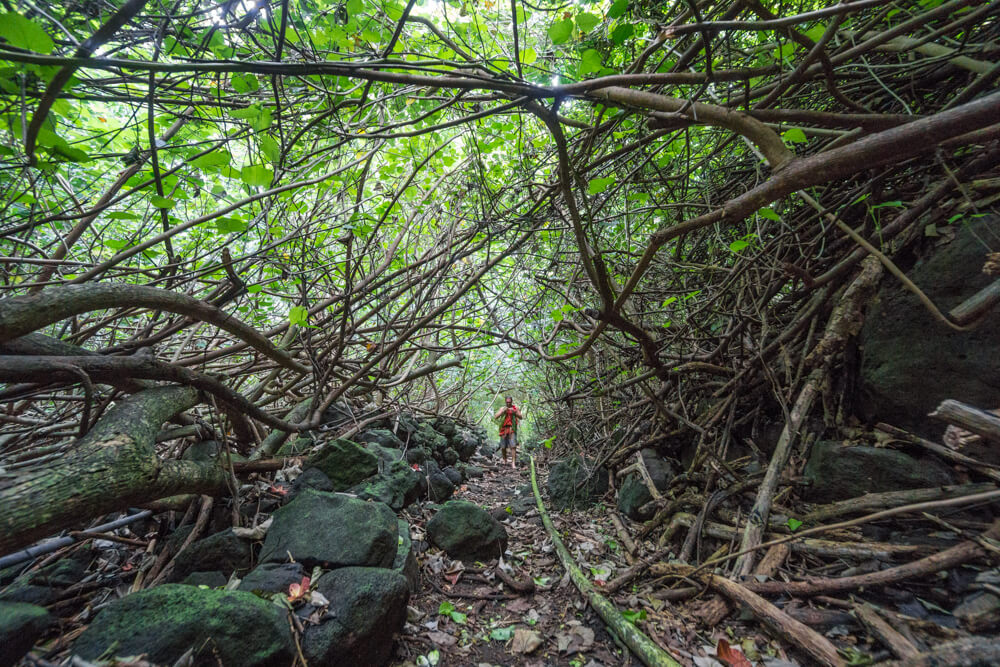 off the beaten path hawaii