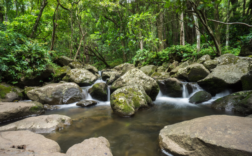 off the beaten path hawaii