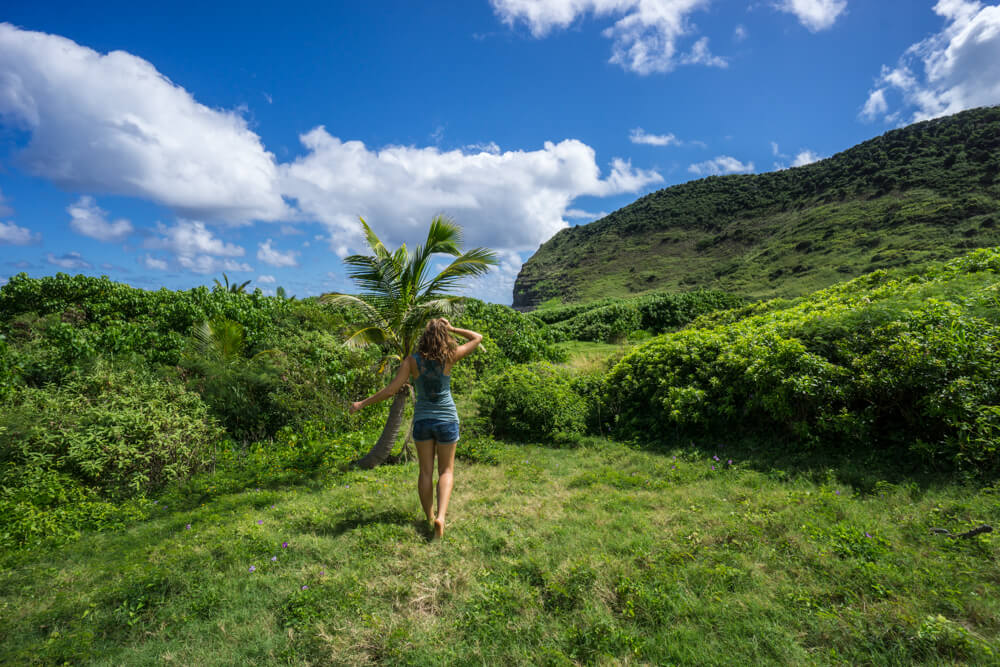 off the beaten path hawaii