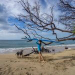 maui surf lessons