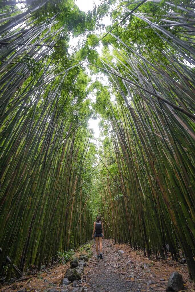 route de hana