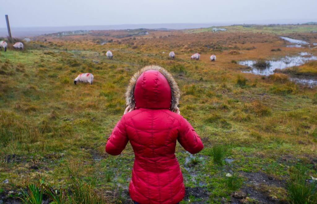 wild atlantic way galway to donegal