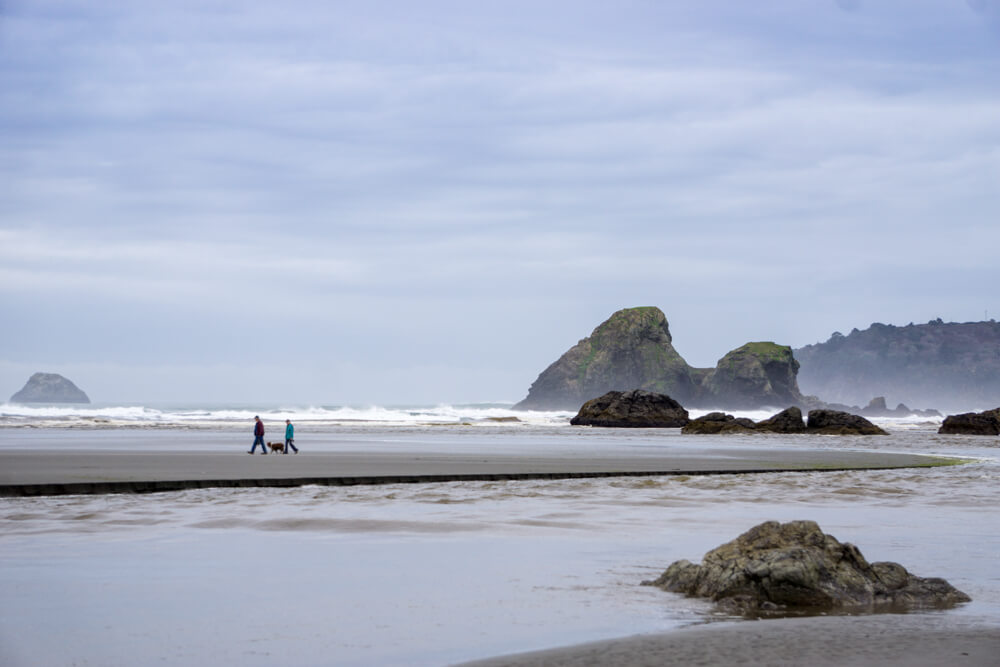 things to do in humboldt california
