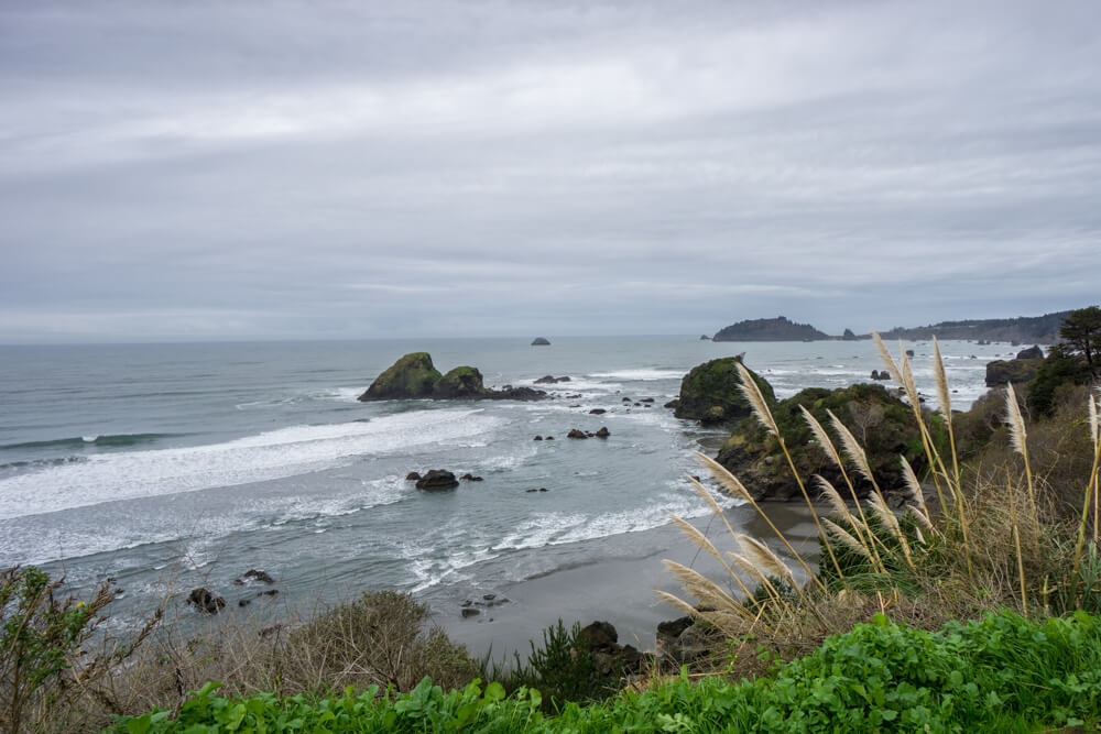 things to do in humboldt california