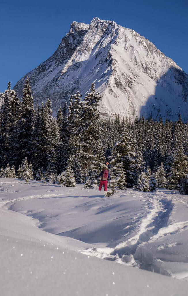 Photos of Alberta in the winter