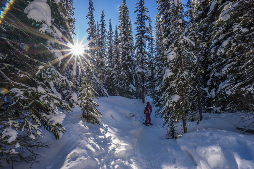 Photos of Alberta in the winter