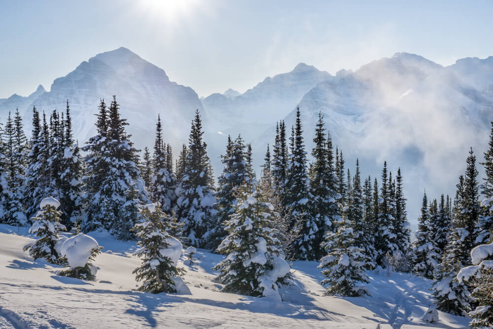 Photos of Alberta in the winter