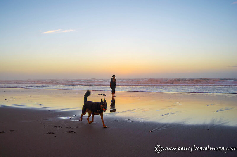 things to do in humboldt california