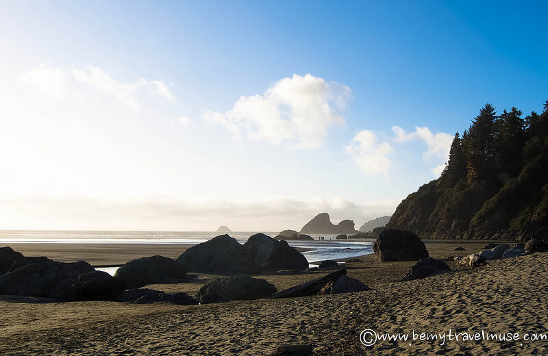 things to do in humboldt california