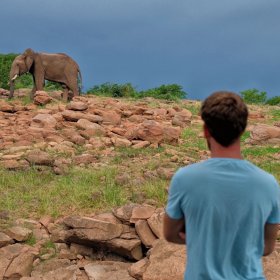 The World Pursuit in Zimbabwe