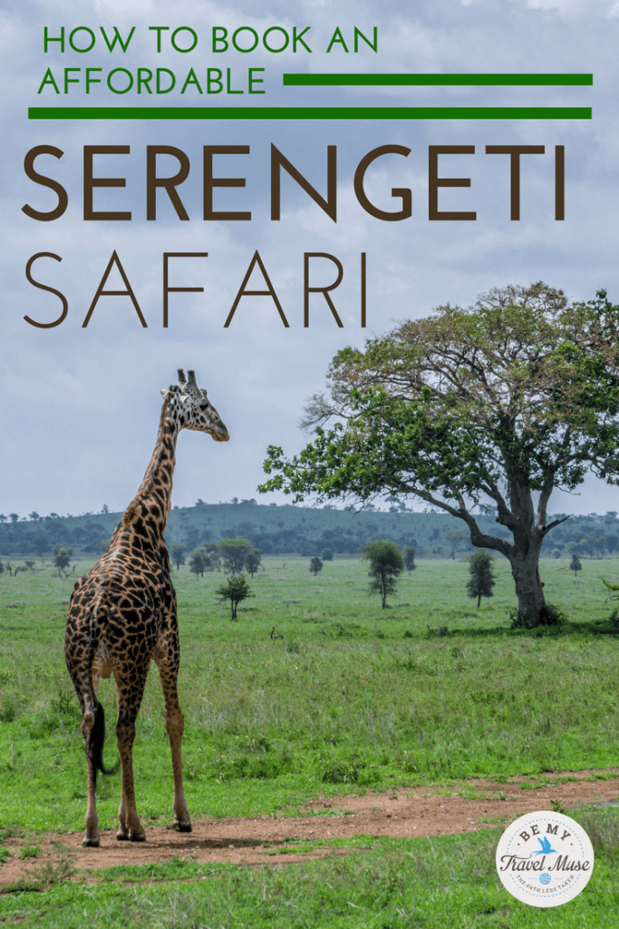 From choosing the right season, the right lodge, and the right company, here's how to save and have an amazing and affordable safari in the Serengeti