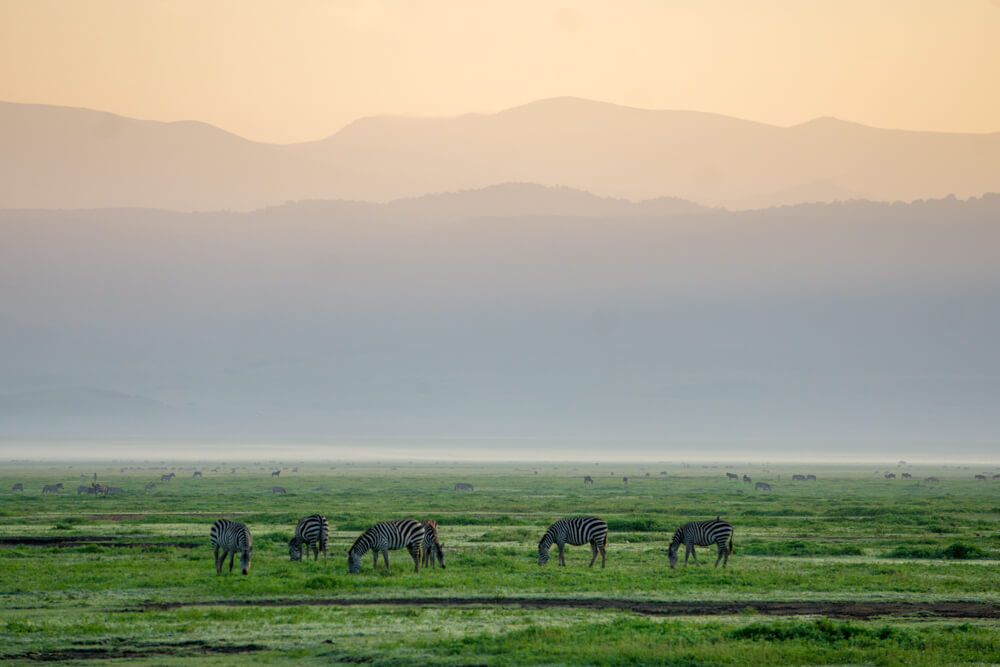 ngorongoro crater guide