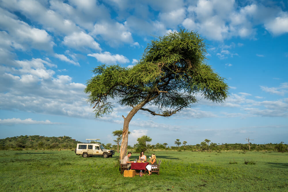 how to book an affordable serengeti safari