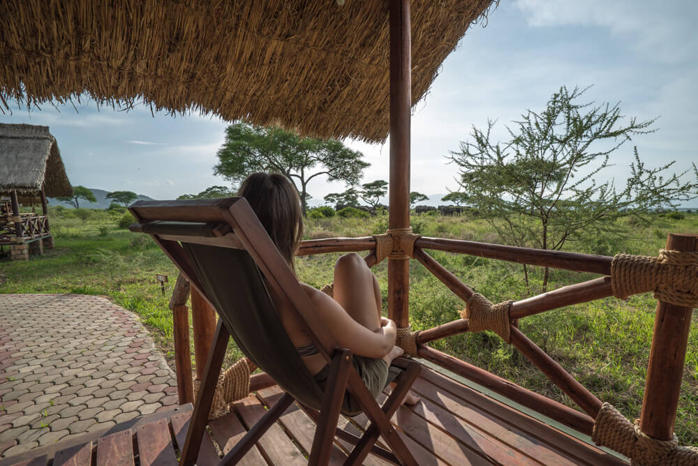 how to book an affordable serengeti safari