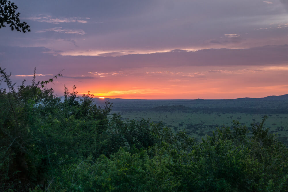 how to book an affordable serengeti safari