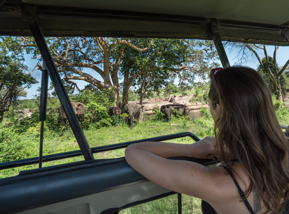 how to book an affordable serengeti safari
