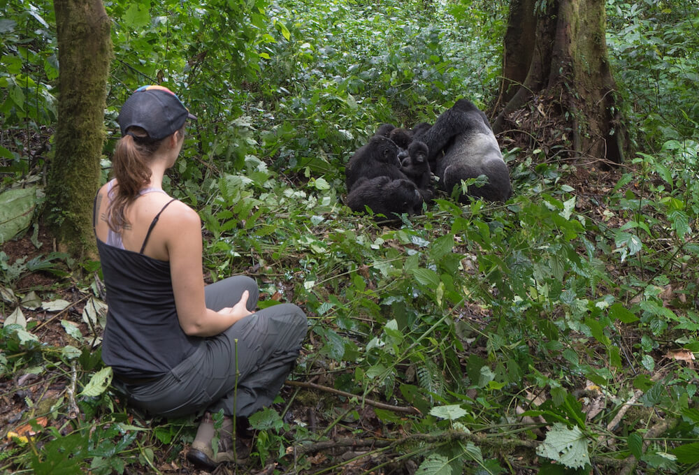 gorilla trekking Uganda 