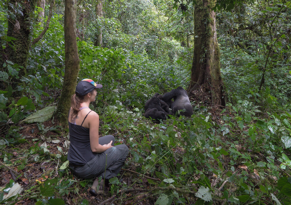 how to go gorilla trekking in uganda